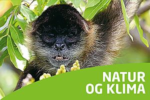 Opgaver til Natur og klima Nicaragua